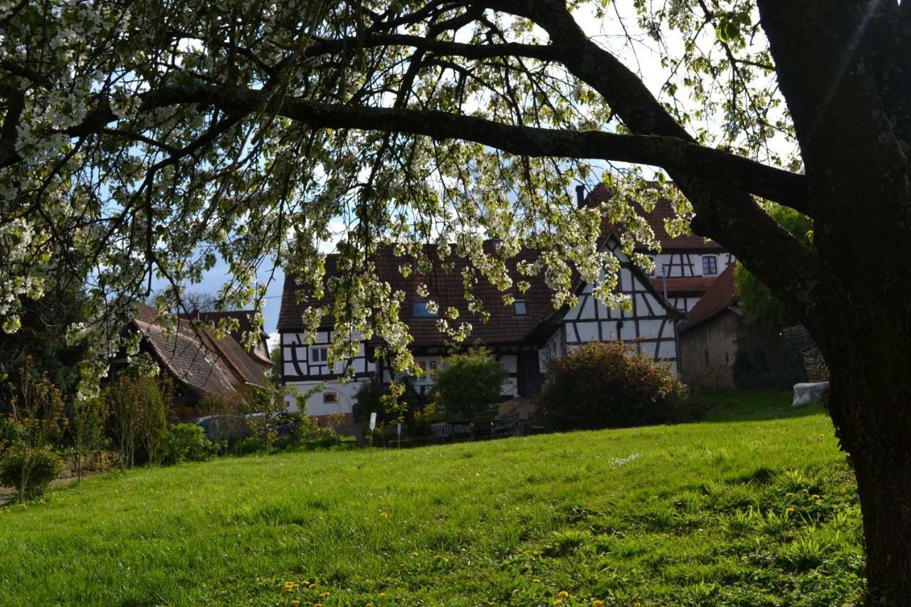 Villa Ferienidyll Cleebourg Exterior foto